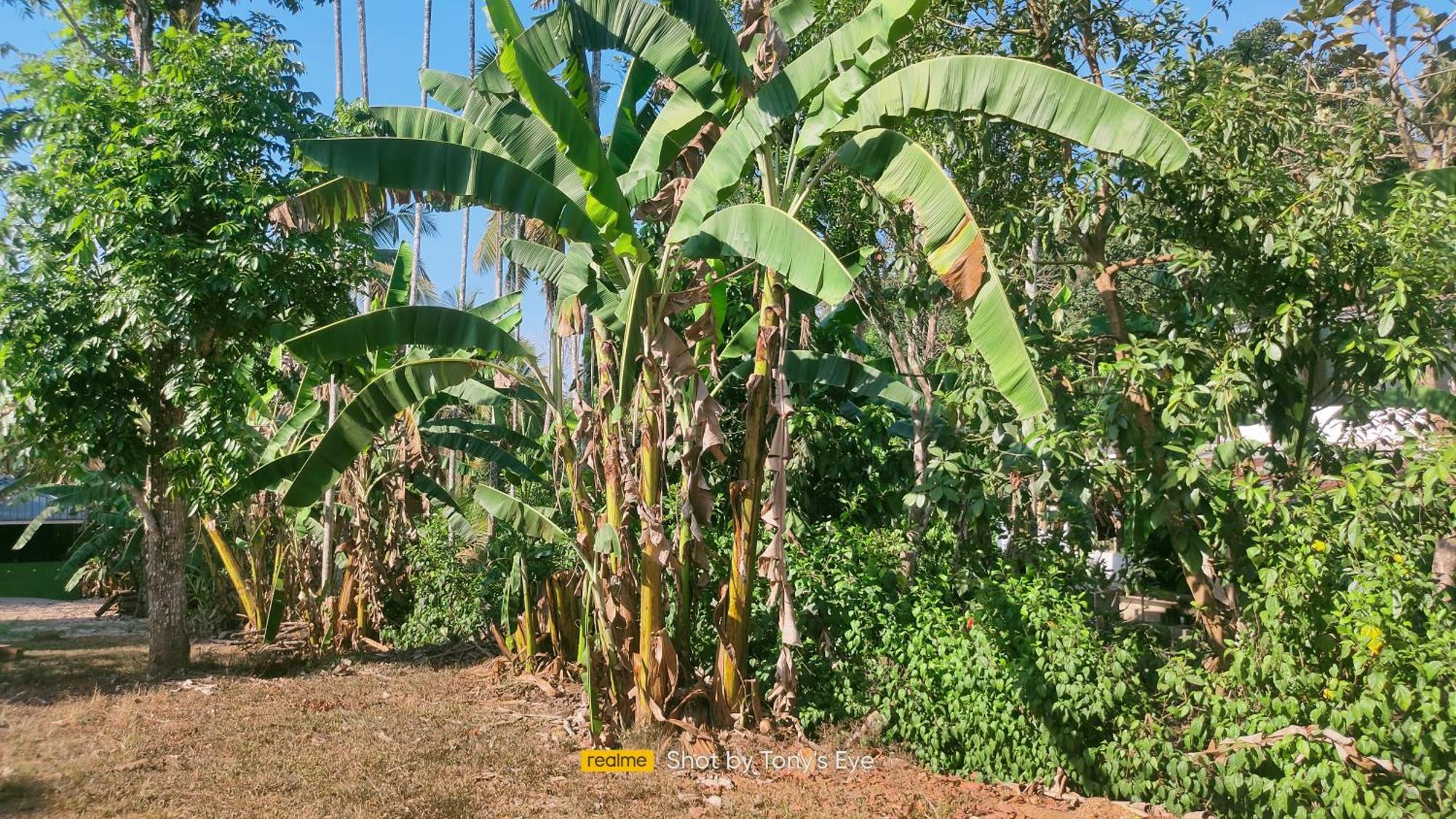 Karapuzha Adventure Park Homestay-By Karapuzha Resorts Meenangadi Ngoại thất bức ảnh